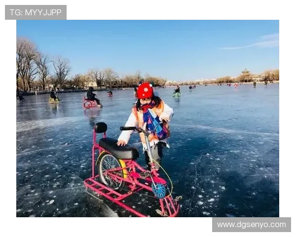 飞盘纪实：见证北京飞盘队从草根到专业的蜕变历程