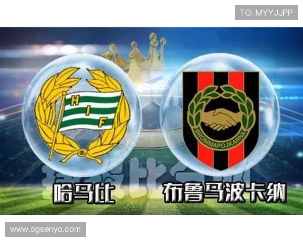 希拉尔对阵德独立精彩直播全程回顾与赛后分析